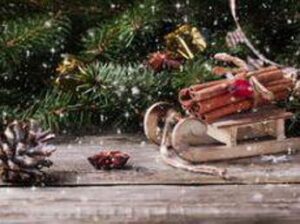 Natale, Assolavoro: “Dai promoter ai rider oltre 35mila opportunità di lavoro sotto l’albero”