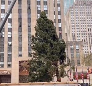 New York, torna l’albero di Natale al Rockefeller Center