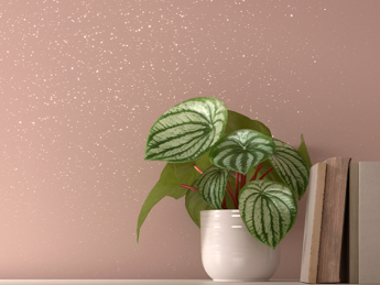 Pitture e vernici San Marco, prodotti di elevata qualità per dare nuova vita e colore alle proprie pareti