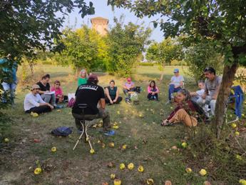 Professione Giardiniere d’arte, in Emilia Romagna si forma una nuova figura con qualifica