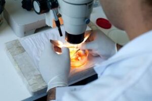 Ricerca, 13 scienziati Neuromed nel 2% dei migliori al mondo