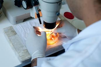 Ricerca, 13 scienziati Neuromed nel 2% dei migliori al mondo