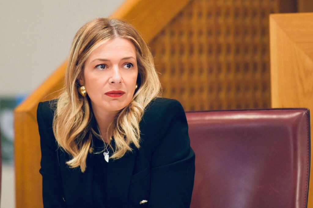 Violenza di genere, Marcozzi (fi): “D’ Amico è male informato"