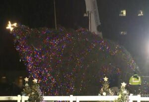 Usa, cade l’albero di Natale della Casa Bianca: colpa del forte vento