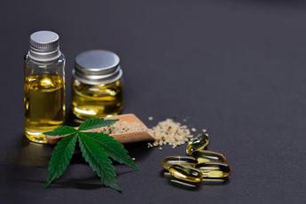 Vendita dell’olio di CBD in Italia: un decreto difficile