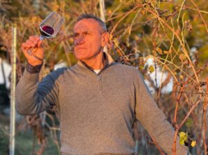 Azienda agraria Claudio Morelli: tra mare e colline si produce il Bianchello del Metauro, vitigno storico e uno dei primi vini Doc d’Italia