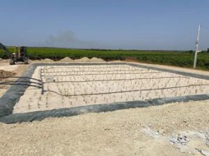 Biomar: il trattamento delle acque nelle cantine vinicole può essere economico e green