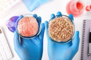 Carni sintetiche, favorevoli e contrari a confronto