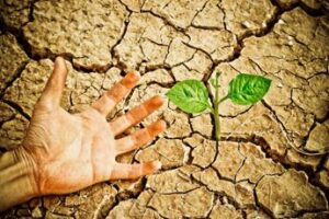 Il cambiamento climatico potrebbe ridurre il Pil mondiale di oltre il 4%