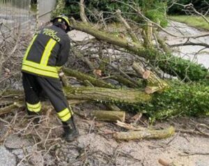 Maltempo oggi in Italia, alberi su auto in Emilia Romagna. Forti raffiche di vento in Toscana
