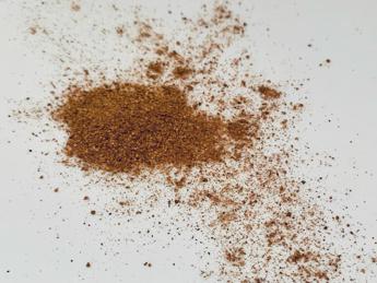 Noce moscata elisir di lunga vita? La risposta in una ricerca