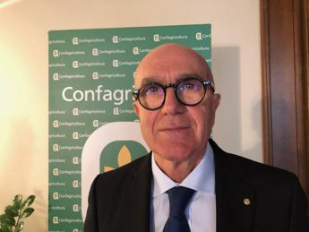 Alimenti, Pulina (Uniss): “Proteine animali indispensabili nella nostra dieta”