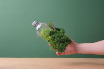 Biodiversità, pubblicati gli standard aggiornati dal Global Reporting Initiative