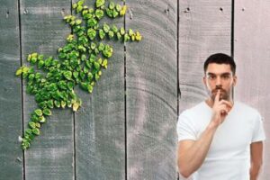 Che cosa è il green hushing e perché è un problema