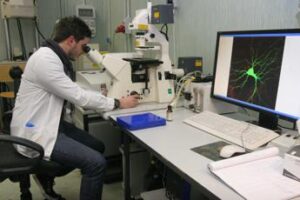Epatite B, speranze dall’immunoterapia: a Milano primi test al mondo