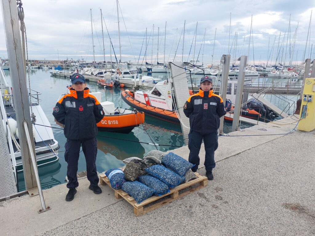 Giulianova, vongole destinate al mercato nero. Sequestrati 150 chili
