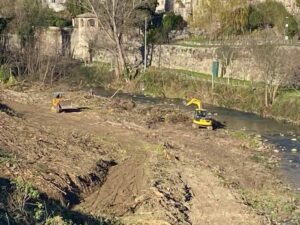 Montorio, taglio alberi sul lungofiume Vomano: appello alle autorità