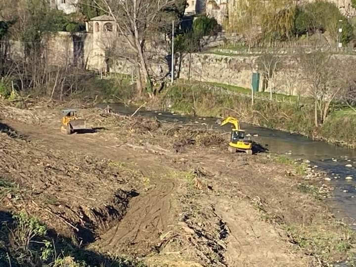 Montorio, taglio alberi sul lungofiume Vomano: appello alle autorità