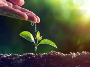 Natura chiama Europa, Osservatorio Wwf sulle elezioni europee 2024