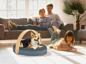 Salute e design grazie alla luce LED che elimina virus e batteri: Biovitae e Light On Your Side al CES di Las Vegas