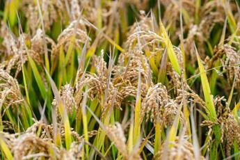 Sostenibilità: indagine, per i GenZer uno stile di vita è rigenerante quando c’è attenzione sia al proprio benessere che a quello del pianeta