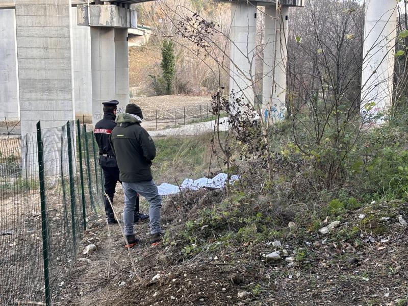 Il ritrovamento è avvenuto grazie alla segnalazione di alcuni passanti, i quali hanno prontamente avvisato i carabinieri della stazione locale.