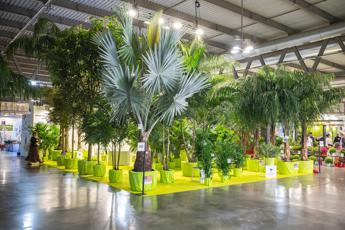 Brusa (Confagricoltura): “Da florovivaismo 3,1 mld di fatturato nel 2023”