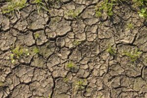 Clima, a rischio 1 pmi su 4, in zone vulnerabili più esposte a fallimento