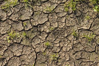 Clima, a rischio 1 pmi su 4, in zone vulnerabili più esposte a fallimento