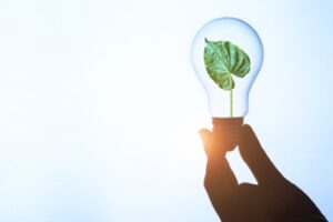 Energia: report, in ripresa le rinnovabili elettriche