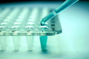 Farmaceutica, Ipsen entra nel mondo delle malattie epatiche rare