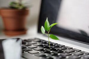 Monetizzare la biodiversità, le banche assumono figure senior Esg