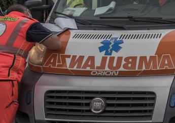 Pesaro, muore sbranata dal suo cane in giardino