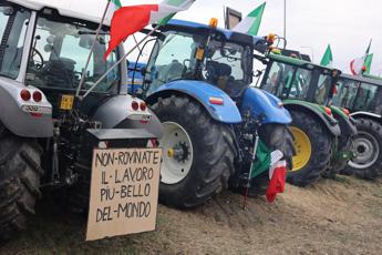 Protesta dei trattori, Riscatto Agricolo: “Non andremo al corteo del 15 febbraio”