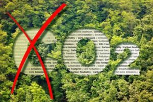 CarpeCarbon, perché il progetto italiano per catturare la CO2 è diverso da tutti gli altri
