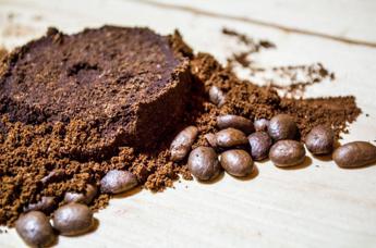 I fondi del caffè per proteggere l’ambiente