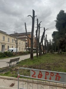 Sulmona. Scempio nella storica Villa Comunale capitozzati gli alberi