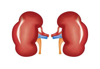 Malattia renale cronica in aumento, ne soffrono in oltre 800 milioni