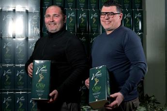 Olearia Lametina Vescio: “Delicato e ideale per l’uso in cucina, così portiamo l’olio della Carolea sulle tavole degli italiani”