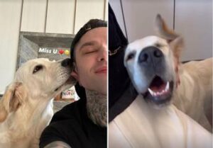 Ferragni, Fedez e l’amore per Paloma: segnali di ‘disgelo’ tra i due?