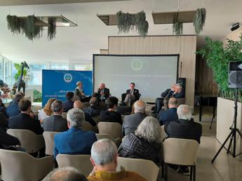 Mezzogiorno, Romano (Noi Moderati): “Deve essere motore e non zavorra in Europa”