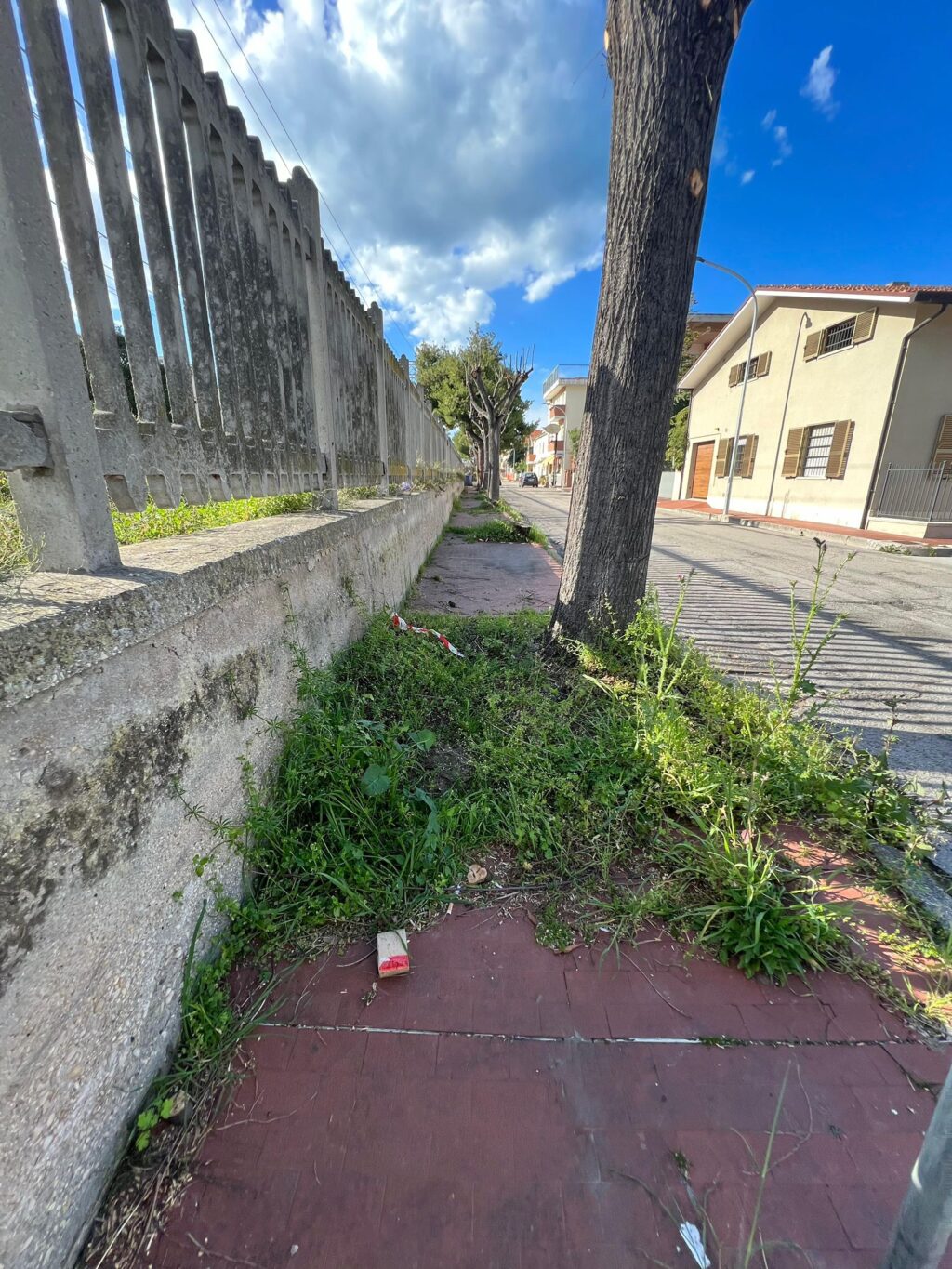 Roseto accoglie i turisti del ponte pasquale tra erba alta e incuria