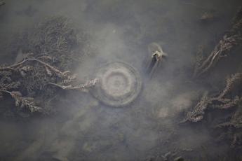 Piazza Tevere a Filo d’Acqua: nuovi scenari per la città con Tevereterno, Fontana più Stella e l’artista Iginio De Luca