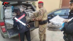 Reggio Calabria, maxi sequestro di cannabis: un arresto