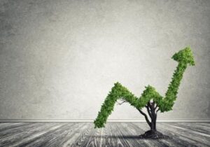 Sostenibilità in ascesa, si accende l’interesse degli investitori istituzionali italiani