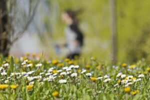 Allergie, dai vestiti colorati ai solari anche la pelle soffre la bella stagione