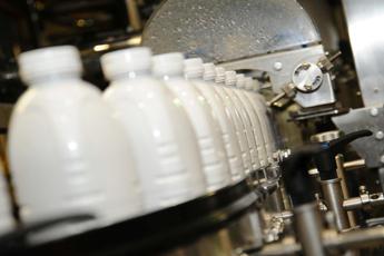 Aviaria, positivo un campione di latte su 5 in Usa