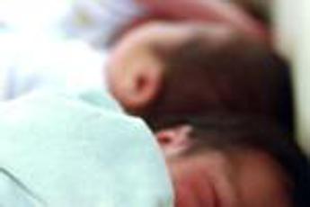 Cos’è il citrobacter, il batterio che ha fatto scattare l’allarme neonati a Verona