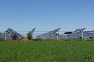 Dl Agricoltura, stop all’agrivoltaico se non permette l’attività agricola