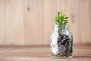 Greenwashing, le regole di etichettatura per i fondi ESG
